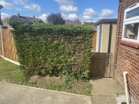IMG_7424.jpeg