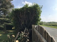 IMG_1543.jpeg