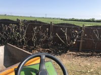 IMG_1549.jpeg