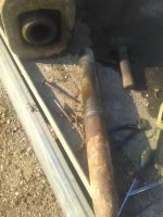 IMG_20200509_082508.jpg