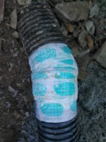 IMG_20200711_182906.jpg
