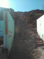 IMG_20200731_093200.jpg