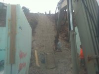 IMG_20200731_110150.jpg