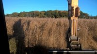 WP_20161116_10_01_54_Pro.jpg