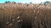 WP_20161129_10_14_35_Pro.jpg