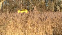 WP_20161129_13_08_08_Pro.jpg