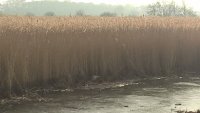 WP_20170127_12_58_41_Pro.jpg