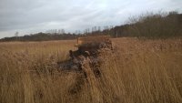 WP_20170131_09_46_25_Pro.jpg