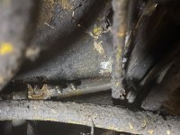 IMG_2670.jpeg IMG_2670.jpeg