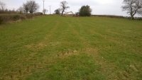 WP_20160323_12_56_06_Pro.jpg WP_20160323_12_56_06_Pro.jpg