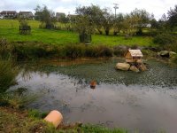 IMG_20200911_155505.jpg