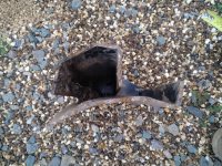 IMG_20201017_173327.jpg