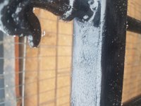 20201119_093211.jpg