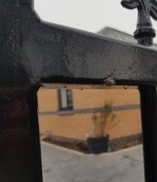 20201120_084728.jpg