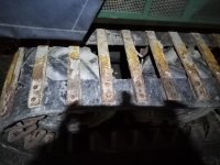 IMG_20201204_073302.jpg