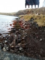 IMG_20201208_102436.jpg