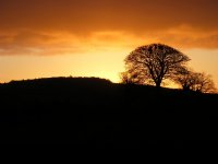 annagh Sunrise (46).JPG