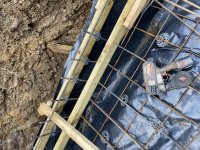 26FC021D-819E-4351-AD18-BD70FD7EE79D.jpeg