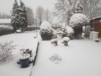20210124_162730.jpg