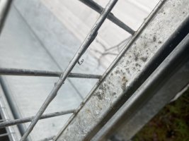 45B55160-8302-48E1-8544-BCE07CEB3912.jpeg