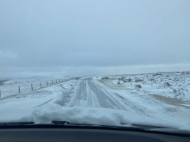 9A0269E3-BF11-4FA8-BC82-AE0EEF63790E.jpeg