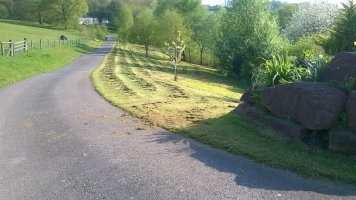 WP_20180507_17_57_44_Pro.jpg