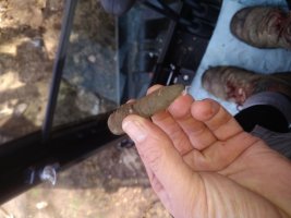 IMG_20210323_100827.jpg