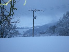 20100107 010.jpg