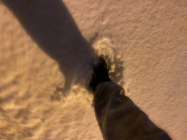 596B4924-B86C-465E-928C-B8BD37653F12.jpeg