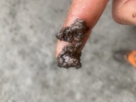 04C353E3-6C81-4B1B-BA7D-0CE697560E23.jpeg