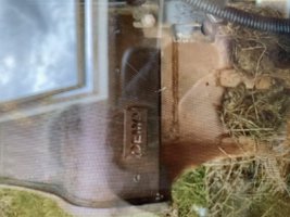 77D74DA9-C87E-46C3-A08E-775AC54A2165.jpeg