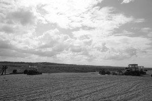 4D9619DC-86B9-4515-AFFE-809ACAEB2E83.jpeg