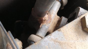 IMG_20210808_173000684.jpg
