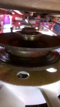 WP_20210822_17_03_53_Pro.jpg