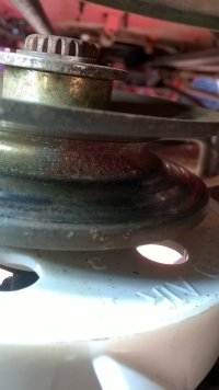 WP_20210822_17_04_30_Pro.jpg