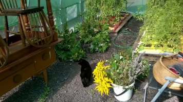 WP_20210917_11_22_59_Pro.jpg