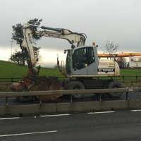 a 156.JPG