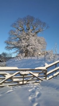 WP_20171211_10_15_08_Pro.jpg