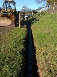 10-11-2010--7.jpg 10-11-2010--7.jpg