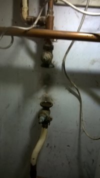 WP_20220126_13_57_22_Pro.jpg