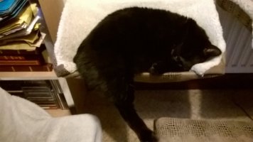WP_20180116_15_11_14_Pro.jpg