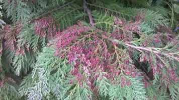 WP_20220329_18_26_30_Pro.jpg