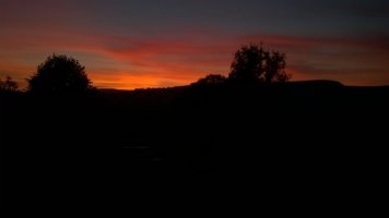 WP_20210921_19_30_09_Pro.jpg