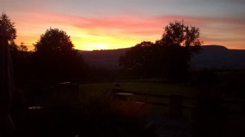 WP_20210921_19_31_18_Pro.jpg