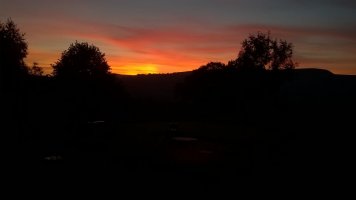 WP_20210921_19_31_24_Pro.jpg