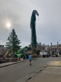 2022-05-06 17.48.38.jpg