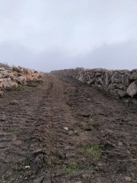 IMG20220321182159.jpg