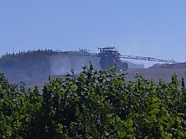 IMG_20220811_133056.jpg