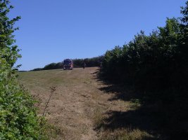 IMG_20220811_134037.jpg