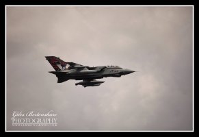 47F48ADD-D09F-47B3-8C19-1339A3CC4399.jpeg